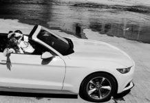 Listen: Lions, Bengals & Bears